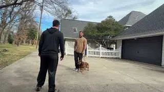 Nick instant alert to passive man 