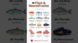 🇩🇪 German Vocabulary | Fisch & Meeresfr&uuml;chte 🐟🦐 | A1&ndash;A2