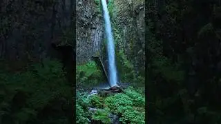 Oregon Columbia Gorge #oregon #waterfalls #landscapephotographer #pnw