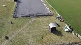 Speedgate Arenas