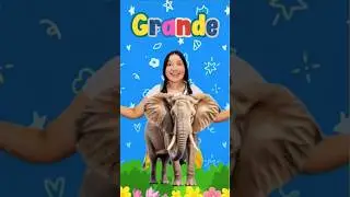 Palabras Ant&oacute;nimas para ni&ntilde;os 👦 | Aprende Palabras Opuestas #videoeducativo #ni&ntilde;os #preescolar