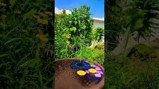 Solar Fountain in my garden view #solarfountain #solargadget #solar #garden #amazon