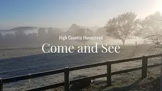 What a Homestead Morning Looks Like!