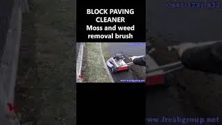 Block Paving Cleaner Moss and Weed Removal Brush #short