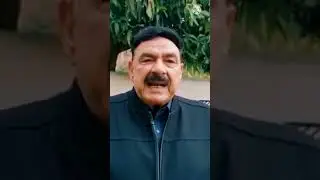 Murre incident 2022