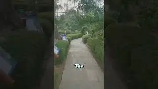 🤩@subashgurung-z1g @subashgurung-z1g @subashgurung-z1g #shortvideo #motivation #shortvideo #video