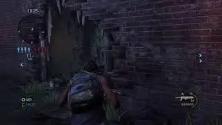 TLoU Faction