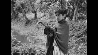 Bengal Film Archive I Article Promo (A Ray of Light)