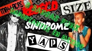 5 BANDAS PUNKS IMPORTANTES EN MÉXICO