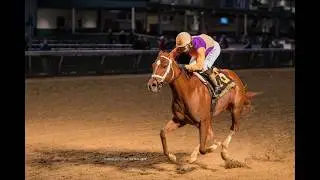Kentucky Derby Radar with Steve Haskin and Jon Stettin