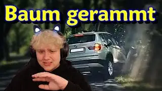 Baum gerammt (DashcamDriversGermany) | DrMax03 Reaction