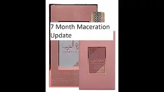 7 Month Maceration Update on Ameerat Al Arab Prive Rose EDP by Asdaaf | Fragrances #249