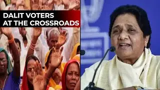 With Mayawati's BSP in terminal decline, whom should the Dalits vote for?
