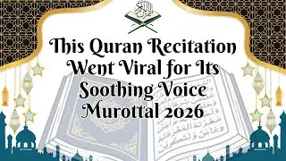 Murottal Al-Quran -“The Qur’an That Will Calm Your Heart Instantly”