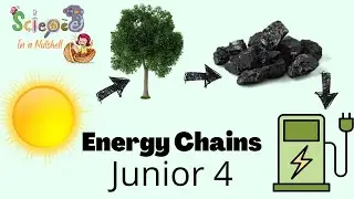 Energy Chains -Junior 4 - Grade 4 -
