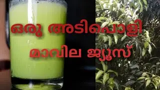 നാരങ്ങയുടെ കൂടെ ഇത് കൂടി ചേർത്തു നോക്കു/ maavila juice /mango leaf juice / trending lime juice
