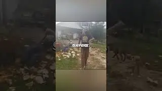 Karen Gets Punched For Recording