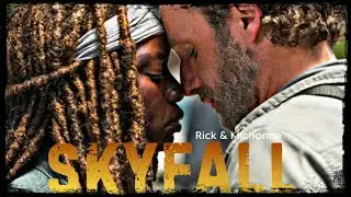 Skyfall - Rick & Michonne