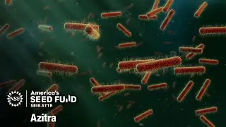 Engineering bacteria to treat skin disease &ndash; Azitra