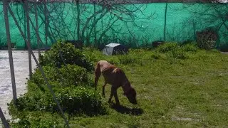 Una Segunda Vida