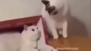 Minecraft Death Sound