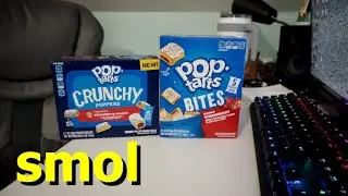 Small Poptart Review