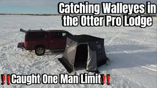 Catching Walleyes In the Otter Pro Lodge (Caught One Man Limit)