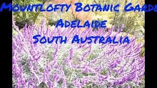 Mount Lofty Botanic Garden South Australia 💥💥😊