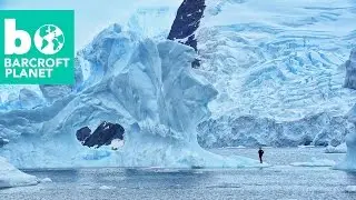 Chill Seekers: Freediving In Antarctica