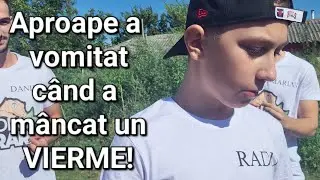 Să &icirc;nceapă Jocurile DinTerariu!