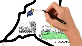 Overview of Spanish Wine Diversity
