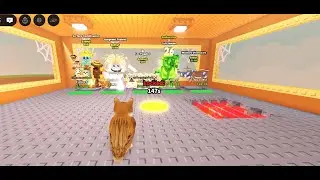 trading + raiding scammers🤑!