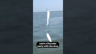 How To Catch A Flounder In 5 Seconds #fishing