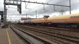(HD) Trains at Antwerp Berchem station - 1/3/17