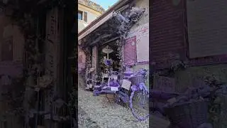 Showcase of an Italian store