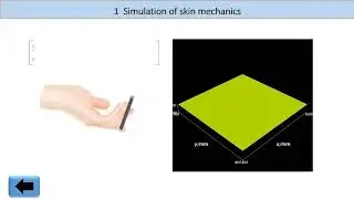 Simulating tactile signal from skin to cortex