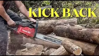 CHAINSAW KICKBACK, ARE LONG BARS SAFER?
