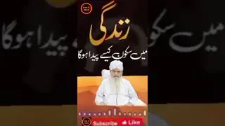 Zindagi mein sukoon kaise milega peer Zulfiqar Ahmad Naqshbandi