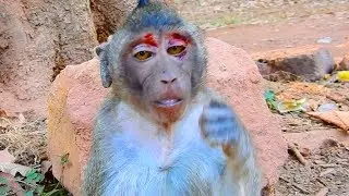 Million pity !! What happen Jessie why you face like this / Monkey Post