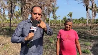 BARRAS| LAVRADOR AFIRMA TER SIDO ATINGIDO POR ALGO DEPOIS DE ATIRAR EM OVNI