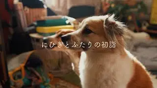 にひきとふたりの初詣