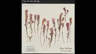 Skye Peterson - 