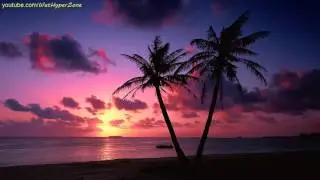 Kygo x Matoma Type Beat (Tropical House) **SOLD**