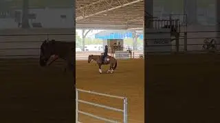 Horse 🐎 riding skills #equestrian#skills