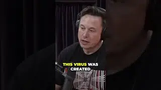 Joe Rogan: Uncovering the truth about COVID 19 and what you didn't know