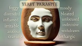 bloated face - inflamed - dandruff - bloated stomach - release yeast from body