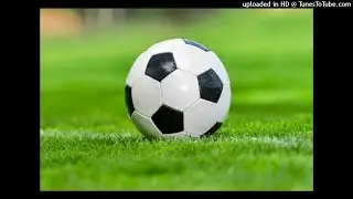 Togo-Violences au stade : La FTF sanctionne s&eacute;v&egrave;rement un supporter de Gomido