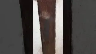 Fachwerkbalken von Farbe befreien mit einer Trockeneisreinigung