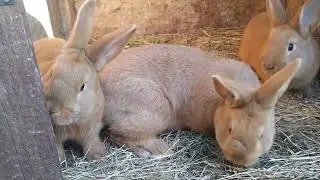 Krásny slnečný deň, nič nebľačí, nič sa nedrcá. Jarná idylka až nato, že nás slniečko vyhnalo čistiť