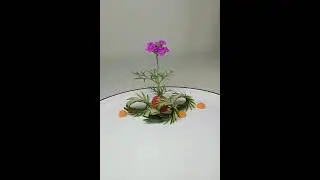 Carving on plate techniques - Amazing plate Decor Ideas